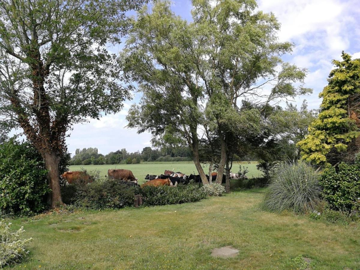 Vinkelaar 11 *